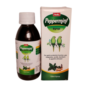 PEPPERMINT SYP 120ML