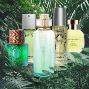 FRAGRANCES